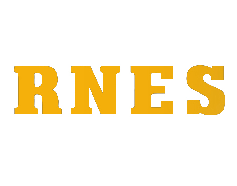 RNES轴承